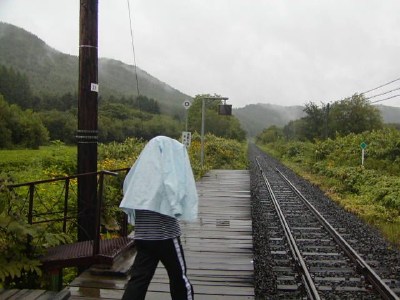 �V�h��@���񂳂����́@Shin-sakaeno